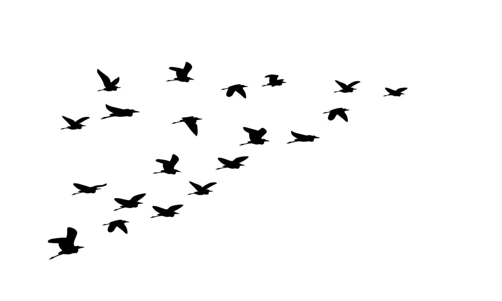 Silhouette of flock of flying birds isolated on white background, perfect for a nature themed template. Vector illustration.