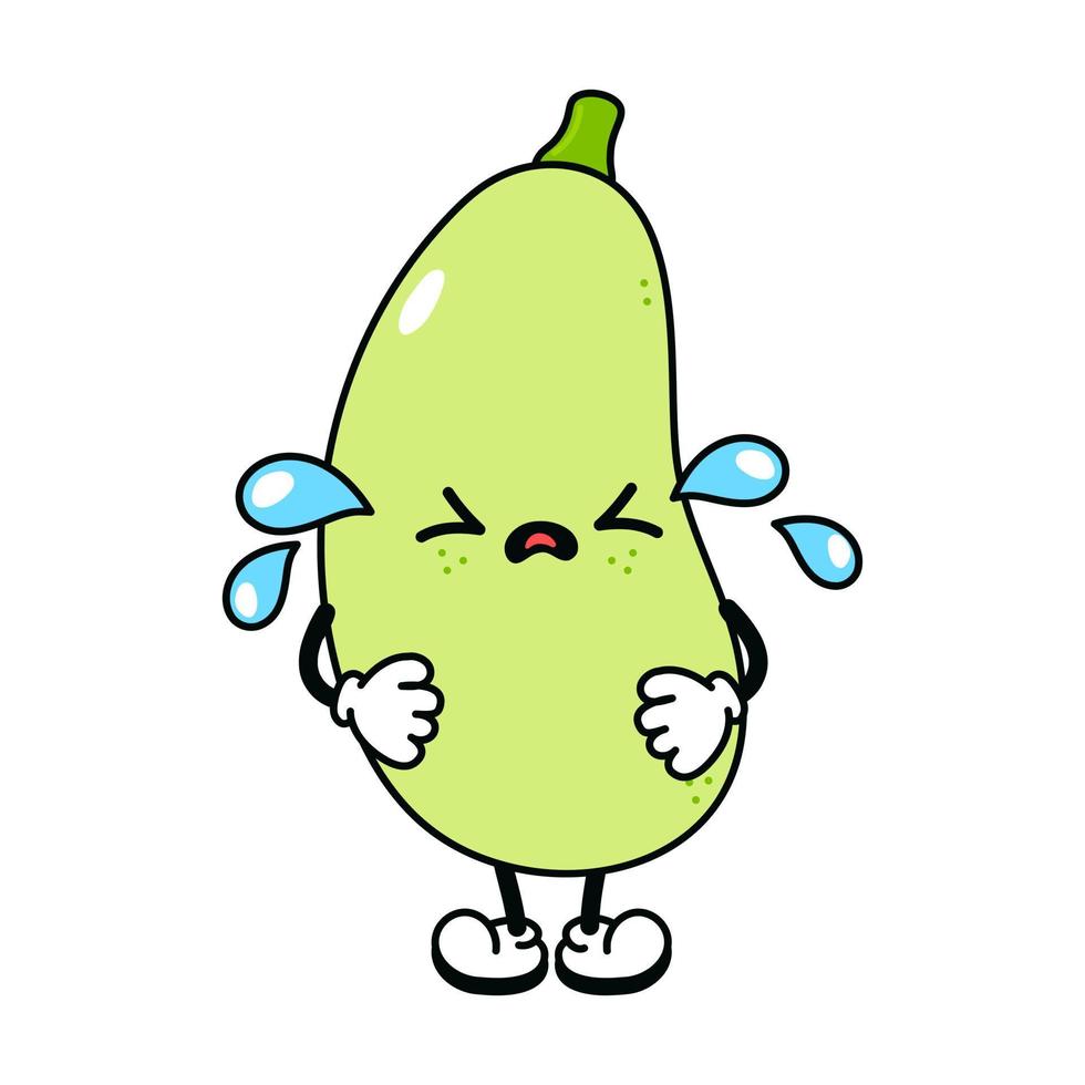 Cute funny crying sad vegetable marrow character. Vector hand drawn traditional cartoon vintage, retro,kawaii character illustration icon. Isolated white background. Cry vegetable marrow character