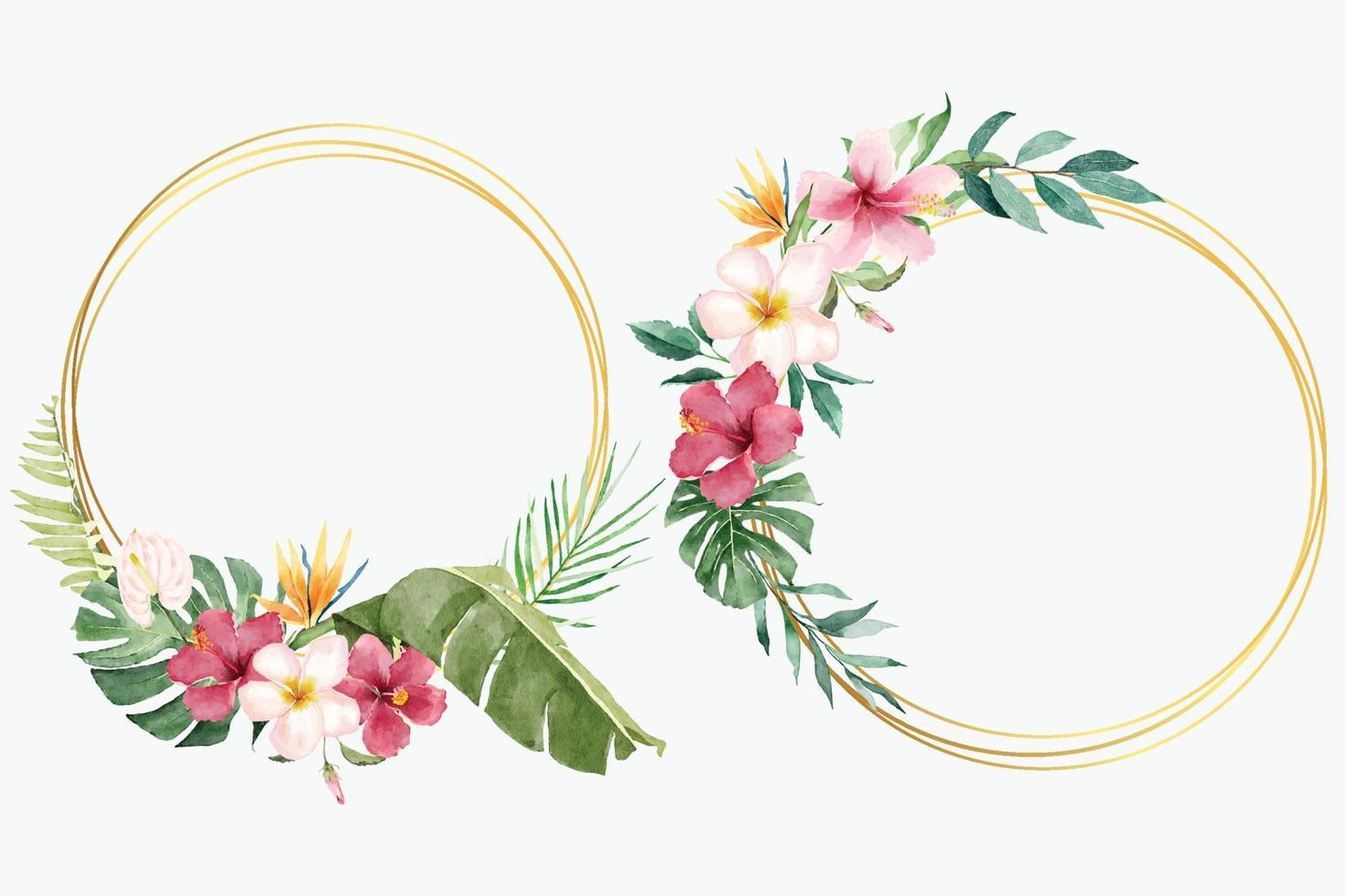 Watercolor Tropical Flowers with Round Frames vector