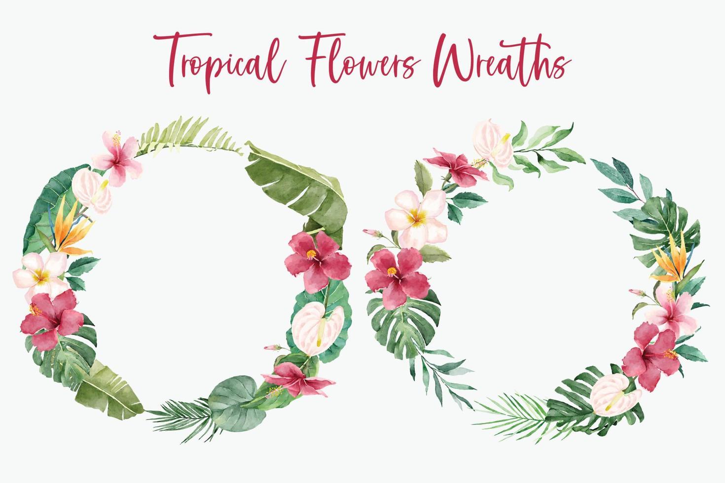 Wreaths of Tropical Flowers Collection vector