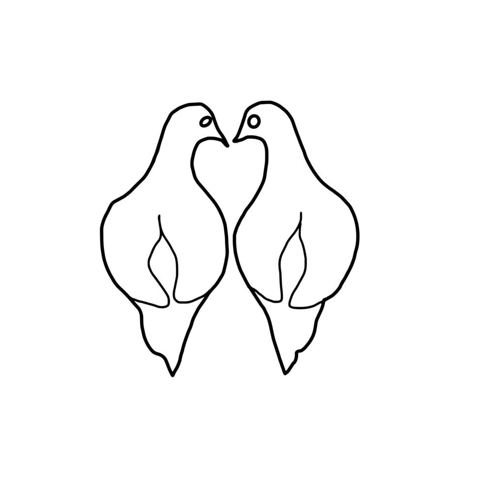 Dove Bird Wedding Celebrate Hand drawn organic line Doodle vector