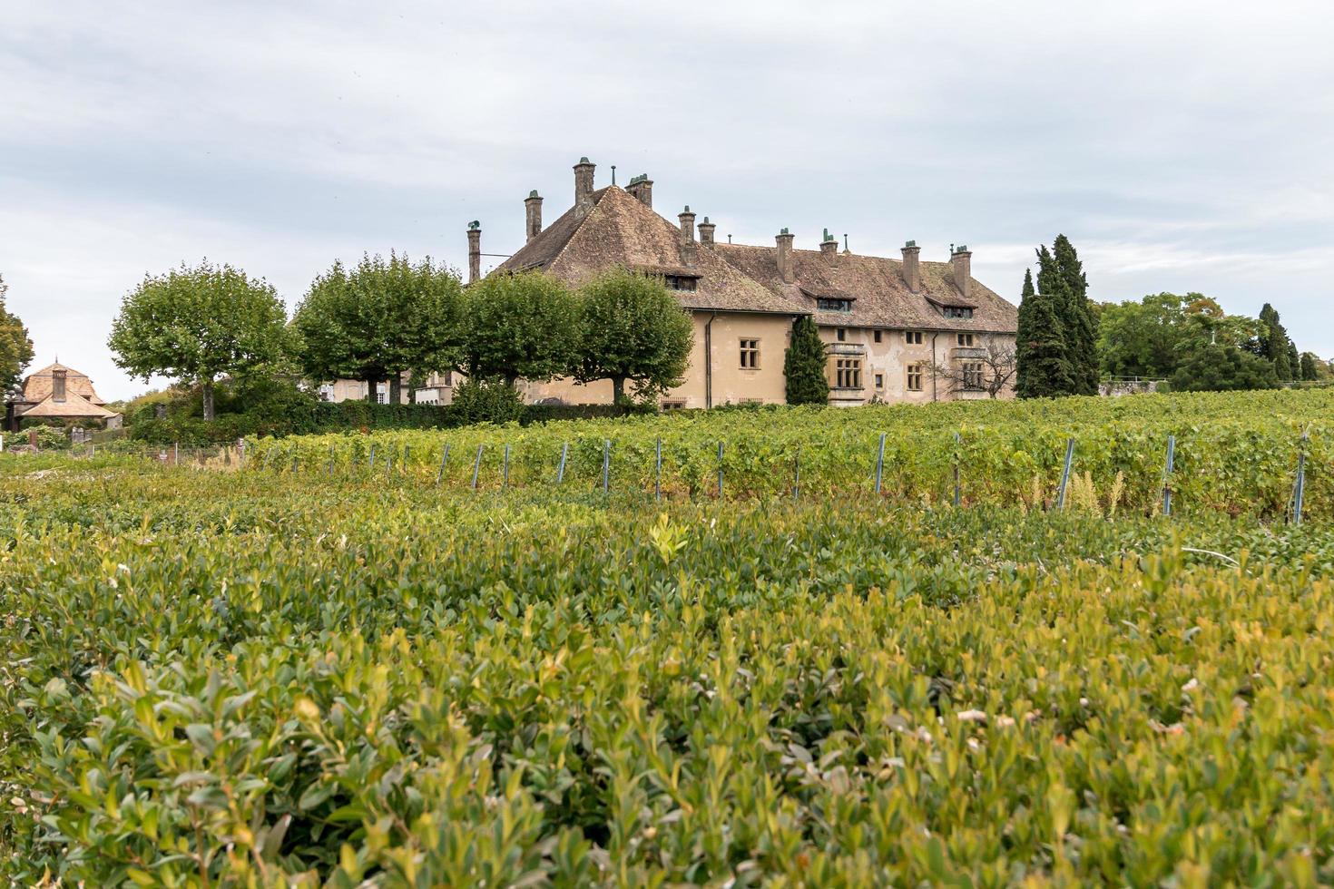 thonon-les-bains, francia, 2015. chateau de ripaille foto