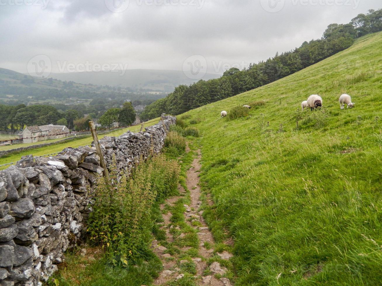 beautiful landescape with footpath, stone wall  and meadow photo