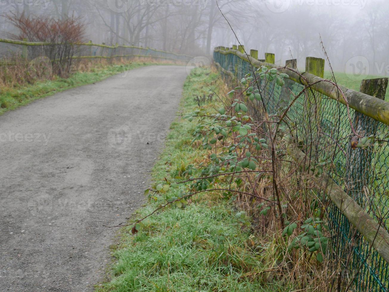 frosty morning in the winter with old road and fence photo