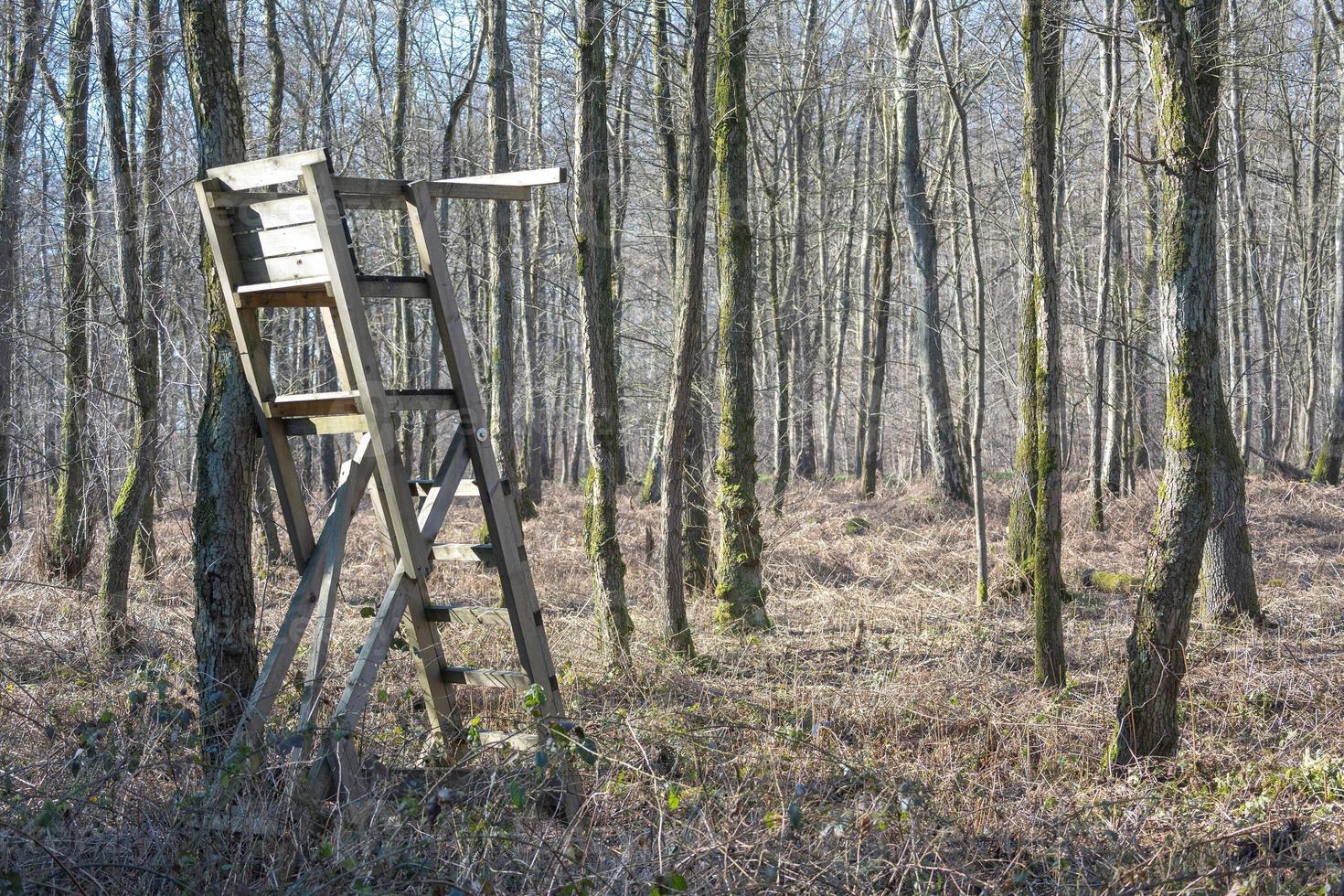 shot of the wooden ladder stand for hunting in the forest photo