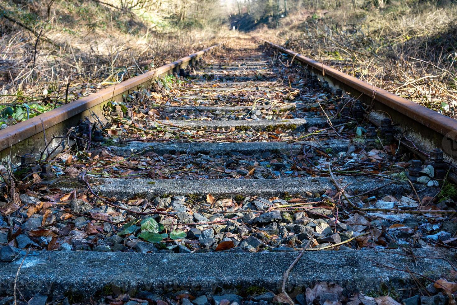 ferrocarril antiguo y rústico con hojas secas y pastos durante el otoño foto