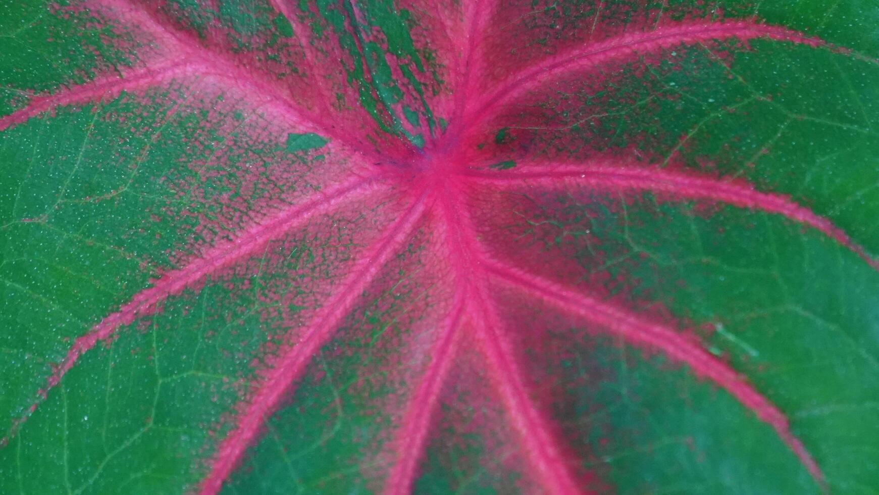 High Resolution Background Stock Photos, Images and Backgrounds for