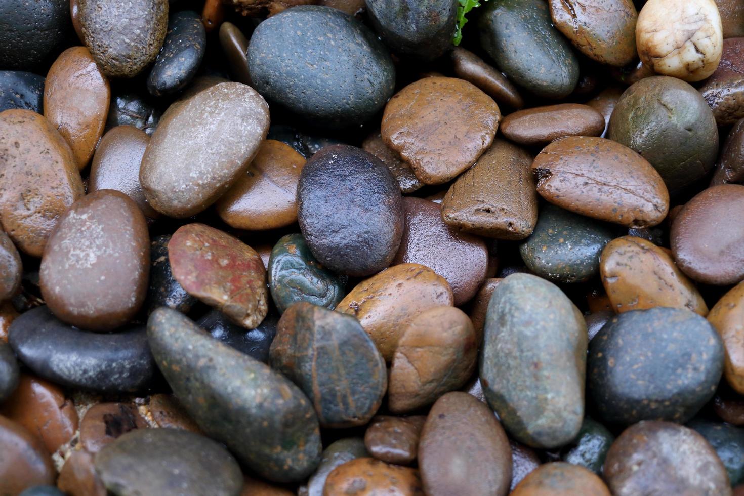 Vaiety color wet rocks. photo