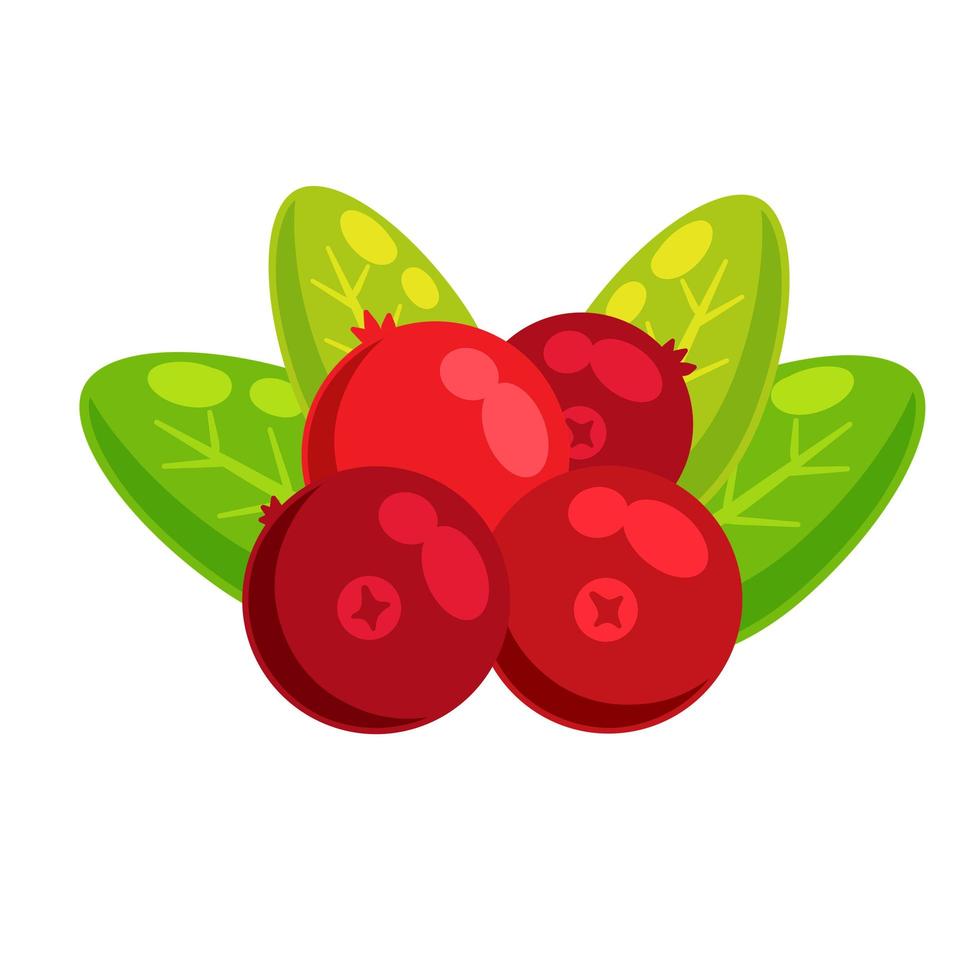 Red currant with green leaves. Cranberry berry. vector