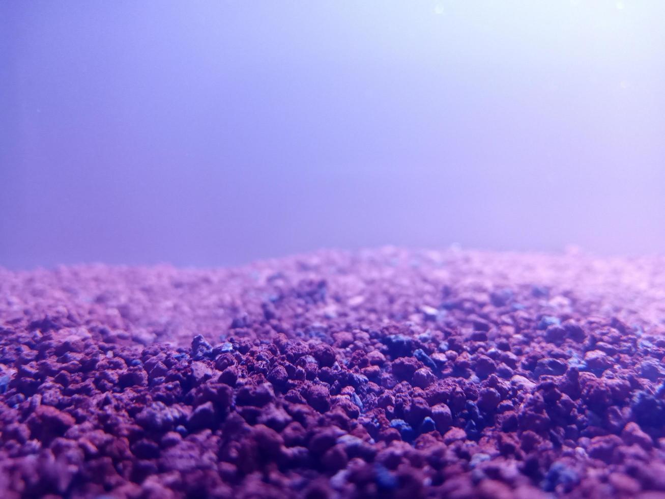 simple aquarium components of gravel and lamp light photo