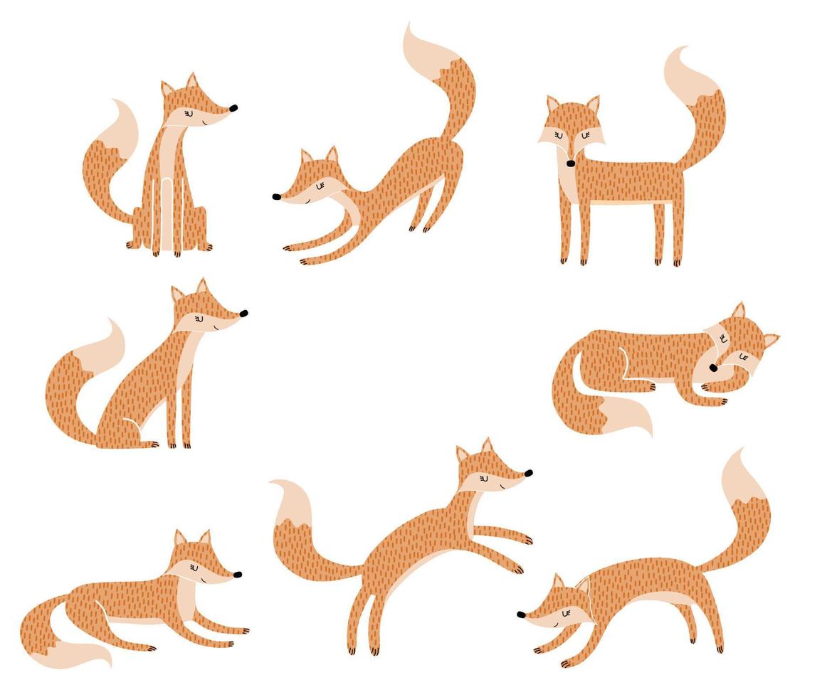 Set of cute cartoon foxes in modern simple flat style. vector