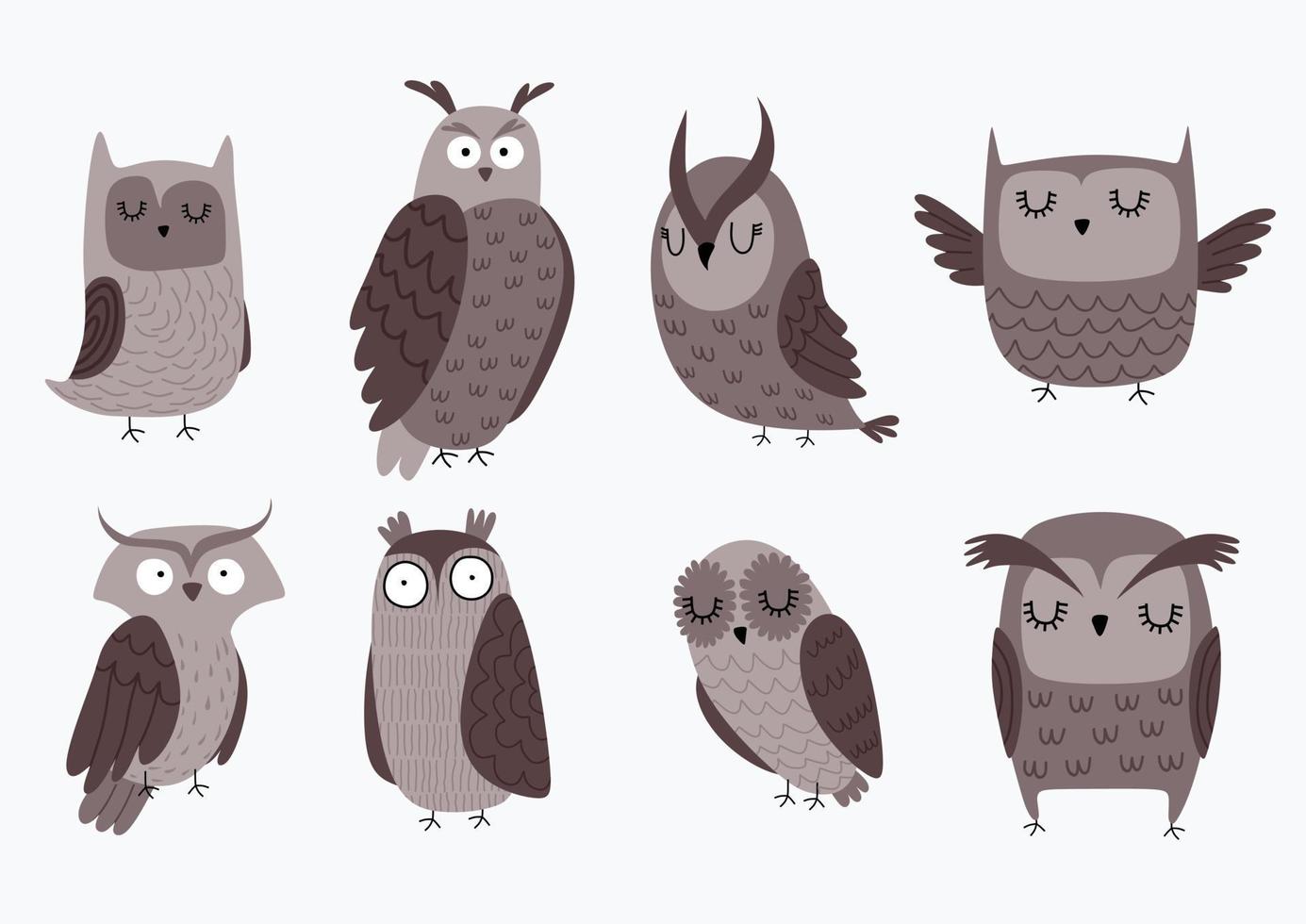 Vector set of different owls