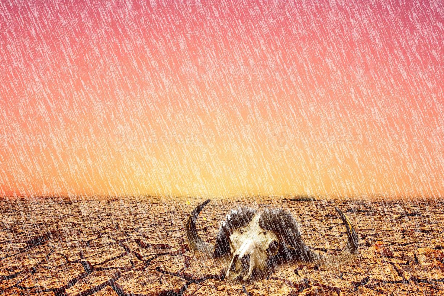 llueve en las zonas afectadas por la sequía. concepto de medio ambiente y cambio climático foto