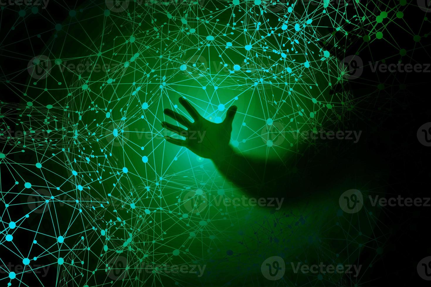 stealing information in the network. photo