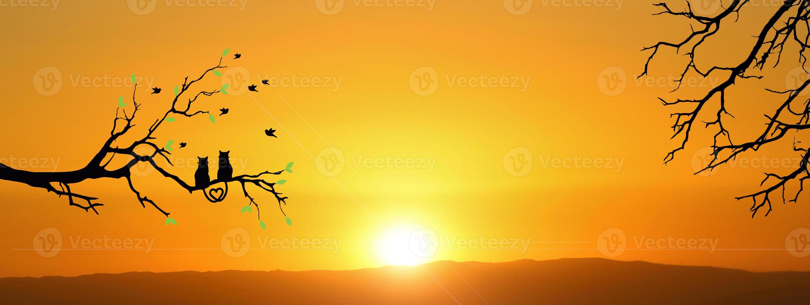 Silhouette of a cat couple on a branch, beautiful view. concept of love, couple, happiness photo