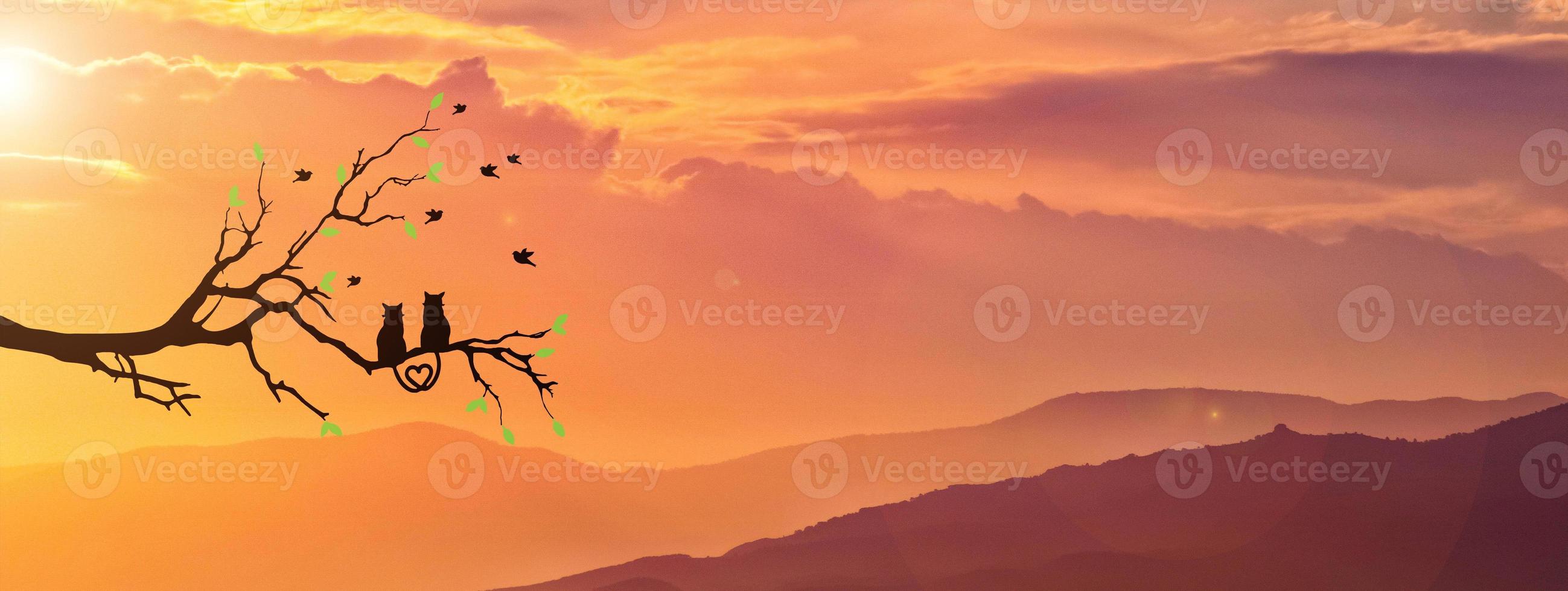 Silhouette of a cat couple on a branch, beautiful view. concept of love, couple, happiness photo
