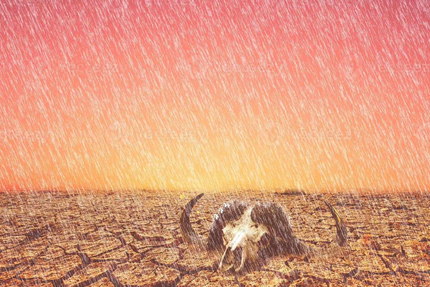 It rains in drought-stricken areas. concept of environmental and climate change photo