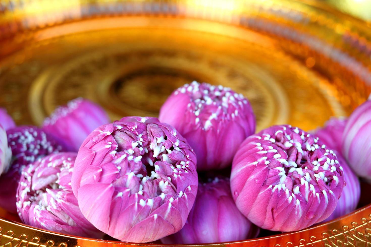 Pink lotus flowers on gold color tray, Thai ancient style in temple, The lotus flower take out of outer petal in round shape, Thailand. photo