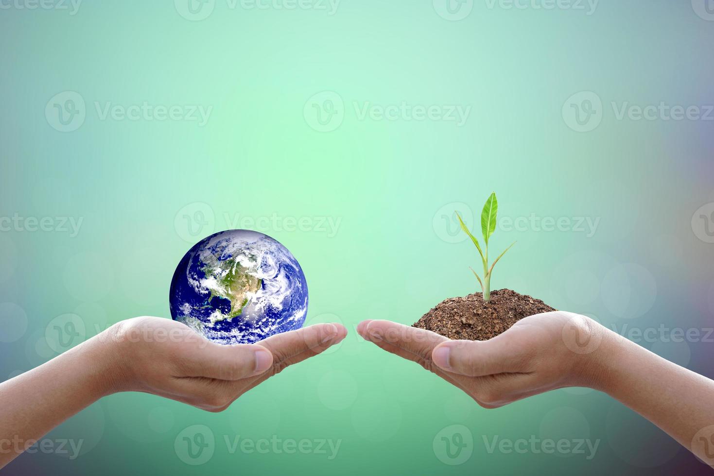 Human hand holding  tree and world on blurred nature background.World environment day. photo