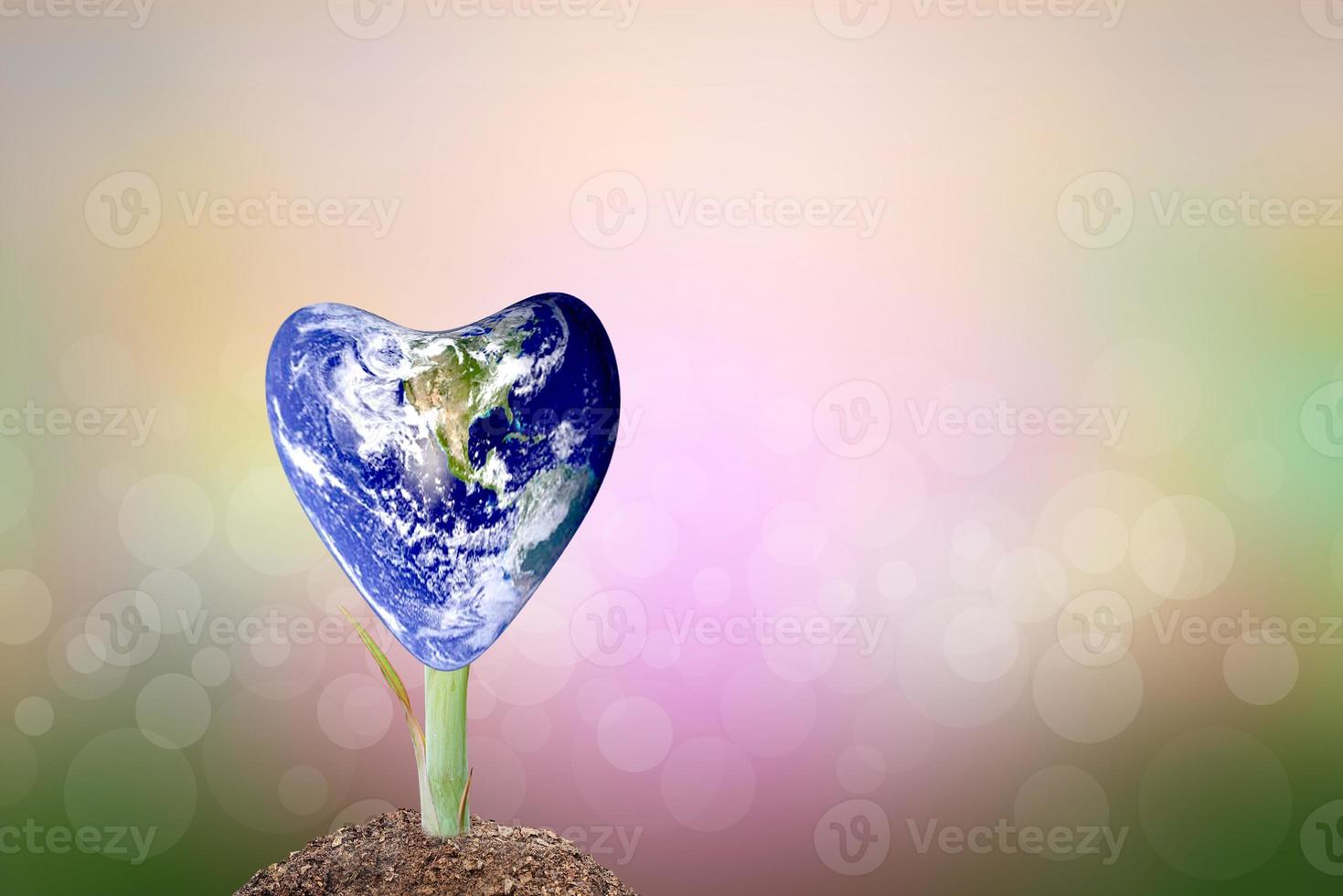 We love the world of ideas. small tree nature blur background photo