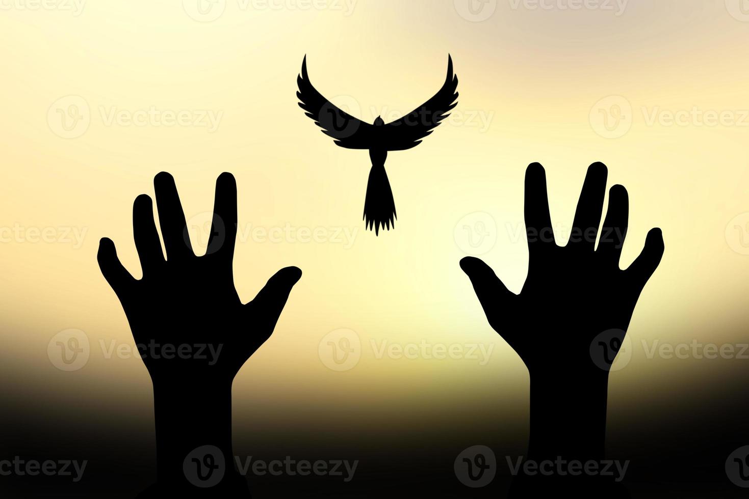 Concept of freedom. shadow dove flies over a human hand. golden sun background in the morningackground in the morning photo