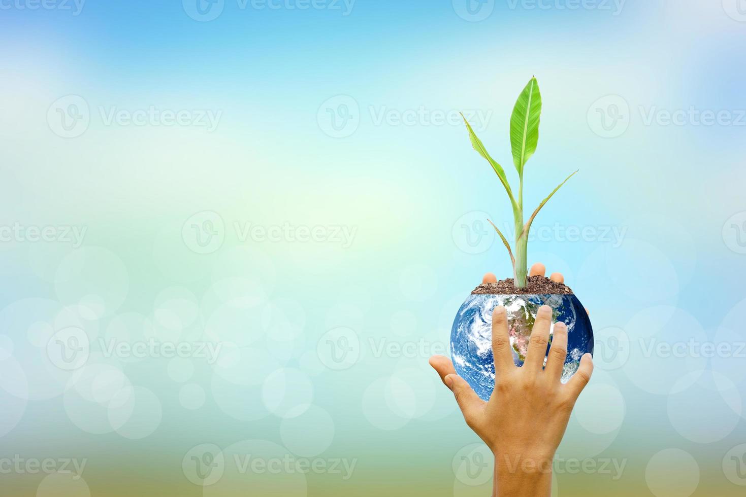 mano humana sosteniendo el árbol y el mundo en el fondo de la naturaleza borrosa. día mundial del medio ambiente. foto