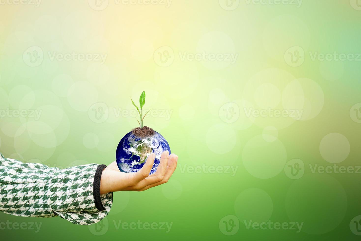 mano humana sosteniendo el árbol y el mundo en el fondo de la naturaleza borrosa. día mundial del medio ambiente. foto