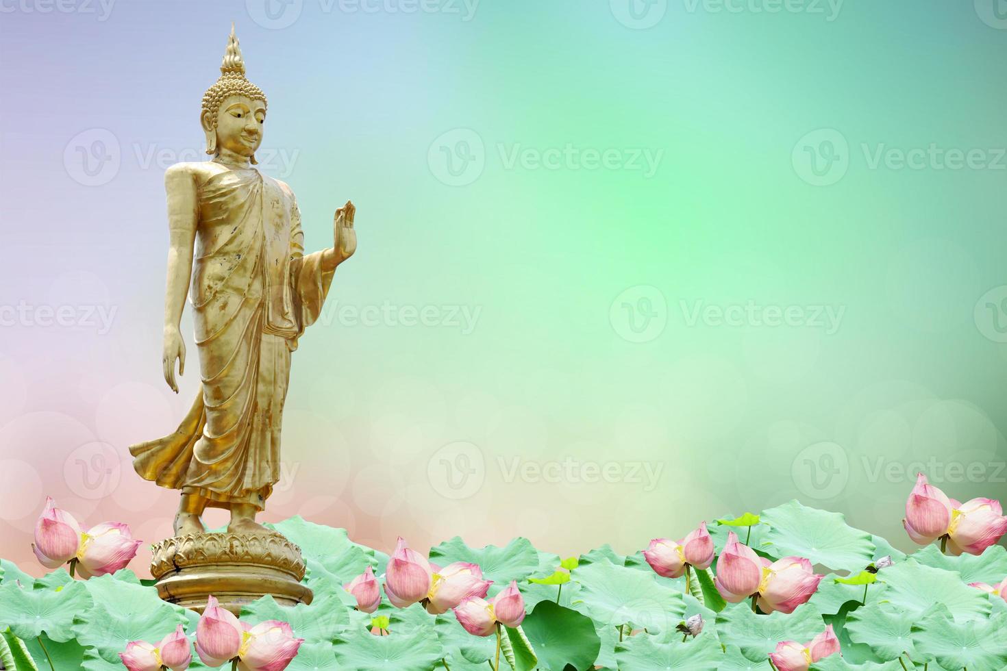 Buddha statue. background blurred flowers and sky with the light of the sun. photo