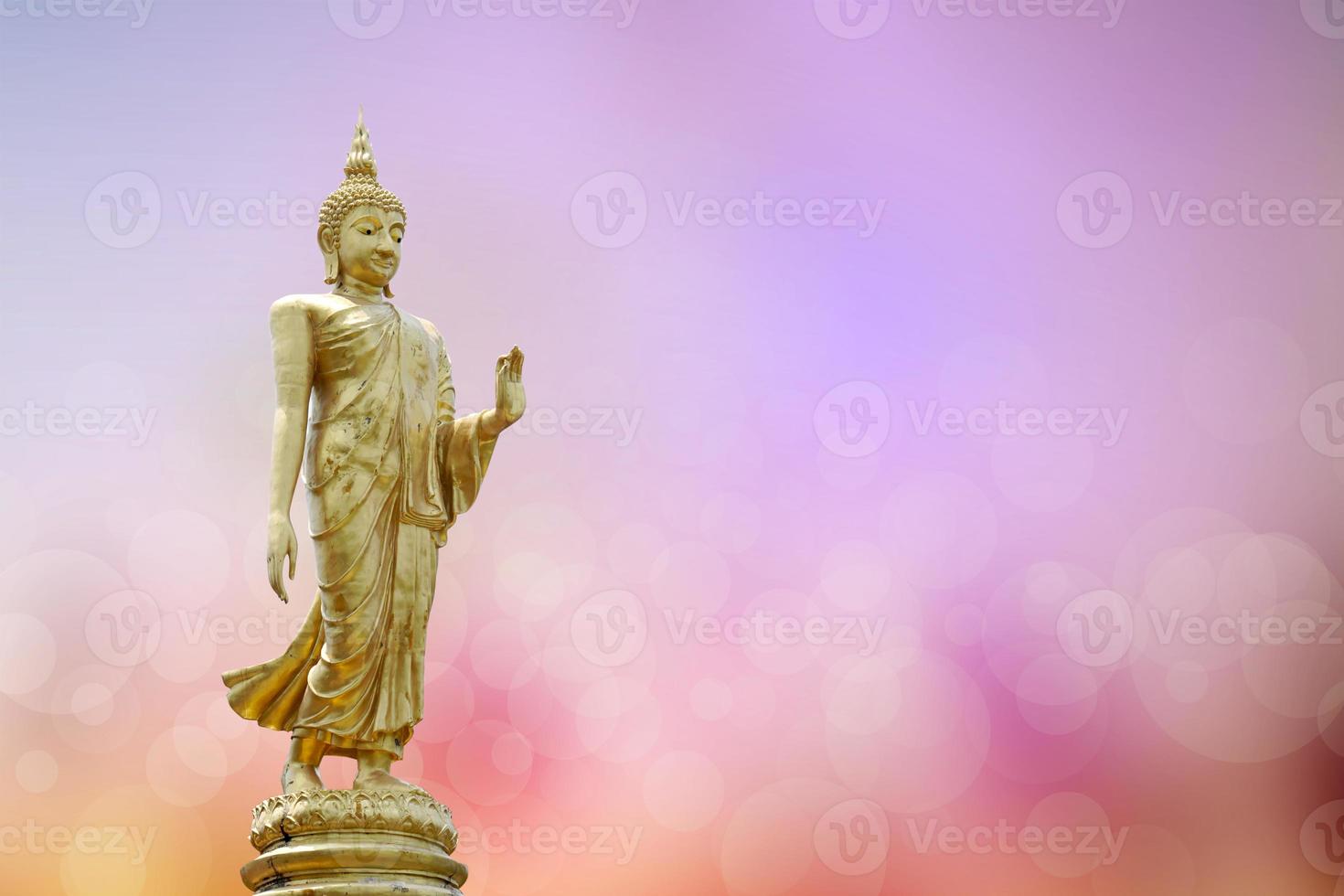 Buddha statue. background blurred flowers and sky with the light of the sun. photo