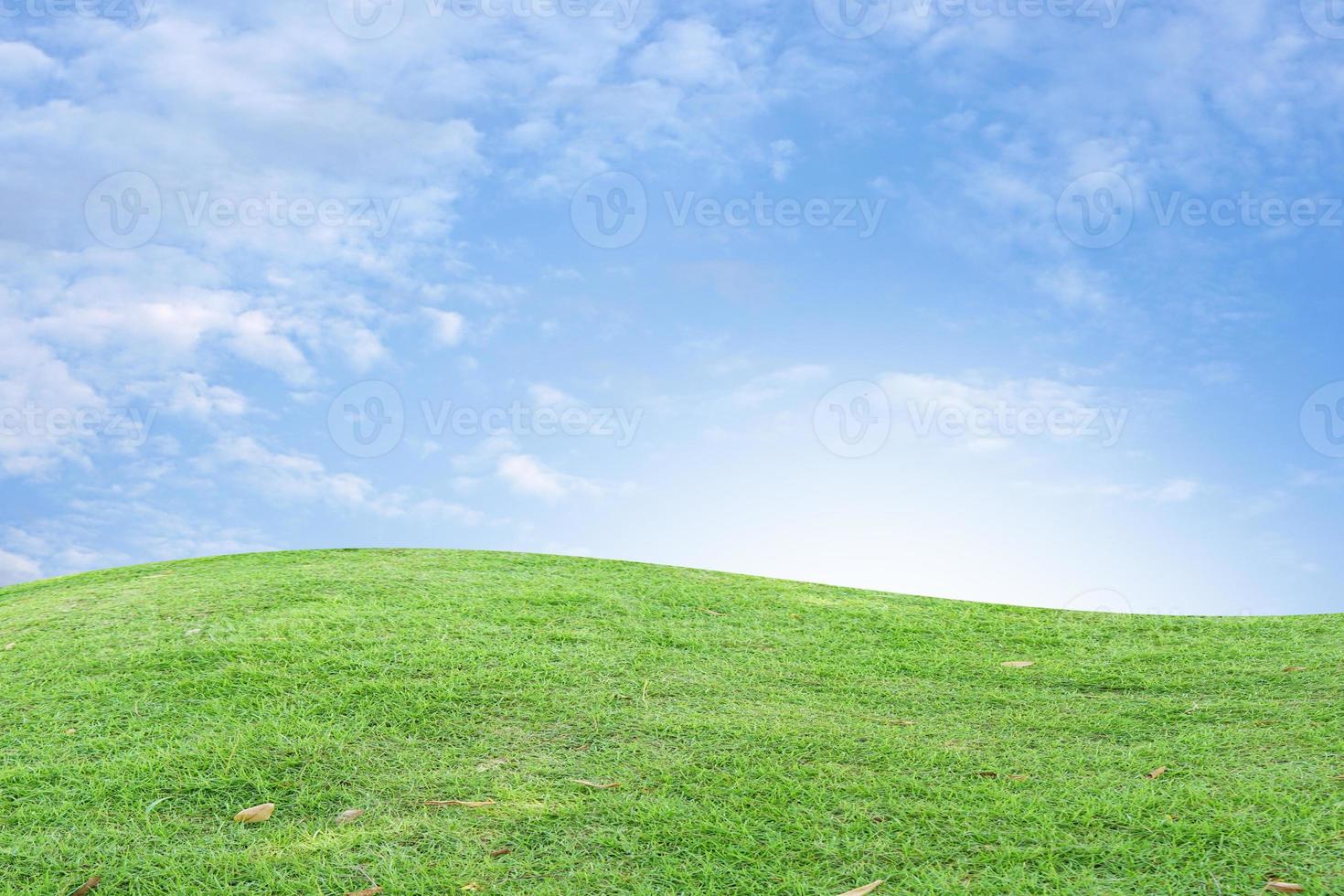 green grass and blue sky background photo