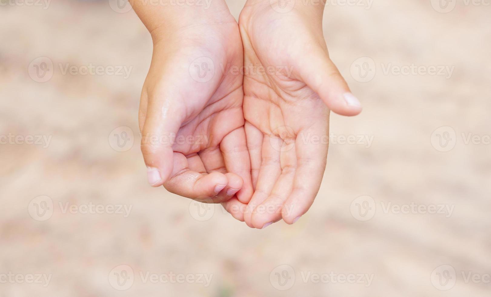 Children's hands are outstretched, touching nature. photo