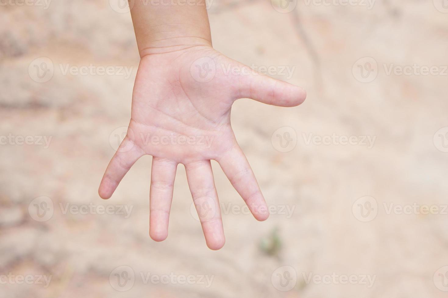 Children's hands are outstretched, touching nature. photo
