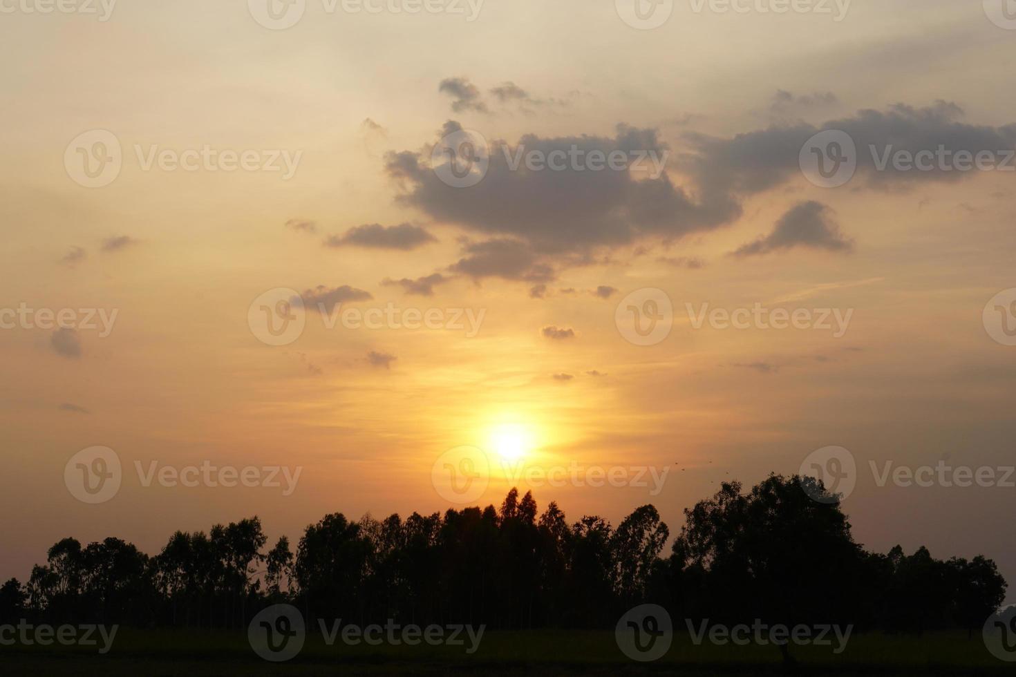 golden blue gold in the evening photo