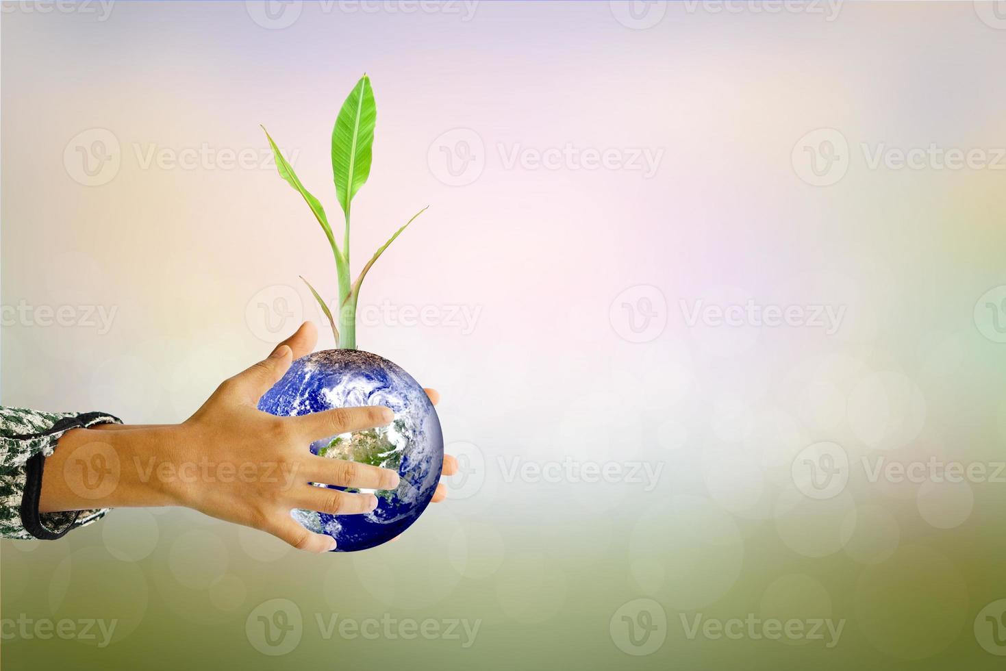 Human hand holding  tree and world on blurred nature background.World environment day. photo