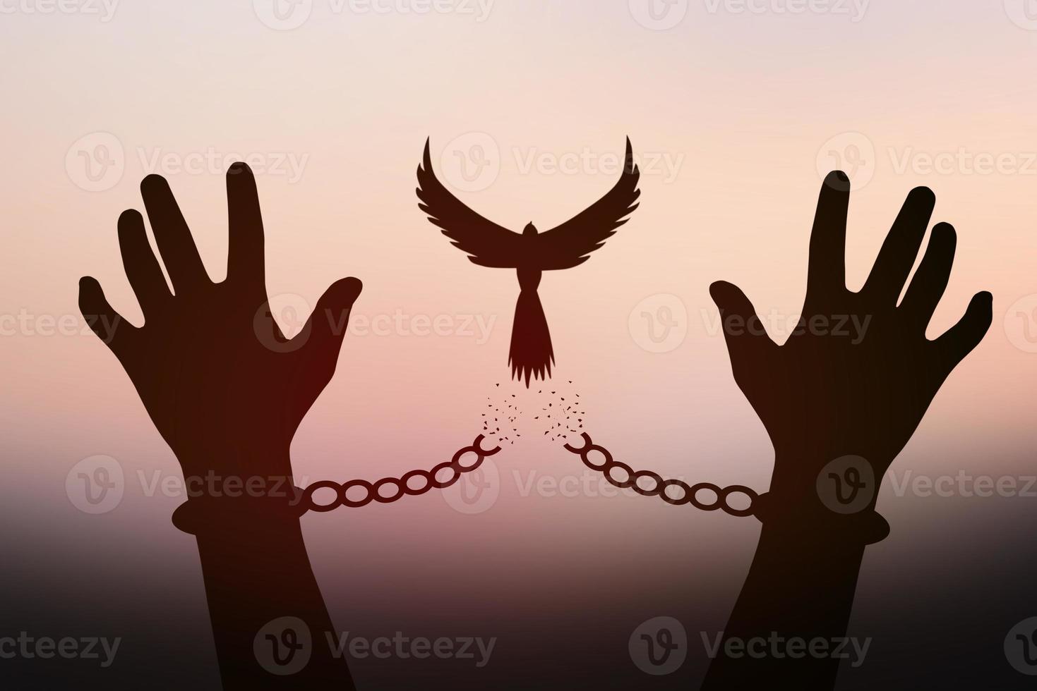 concepto de libertad. la sombra de una paloma se libera de las cadenas que atan los brazos humanos. fondo de sol dorado en la mañana foto