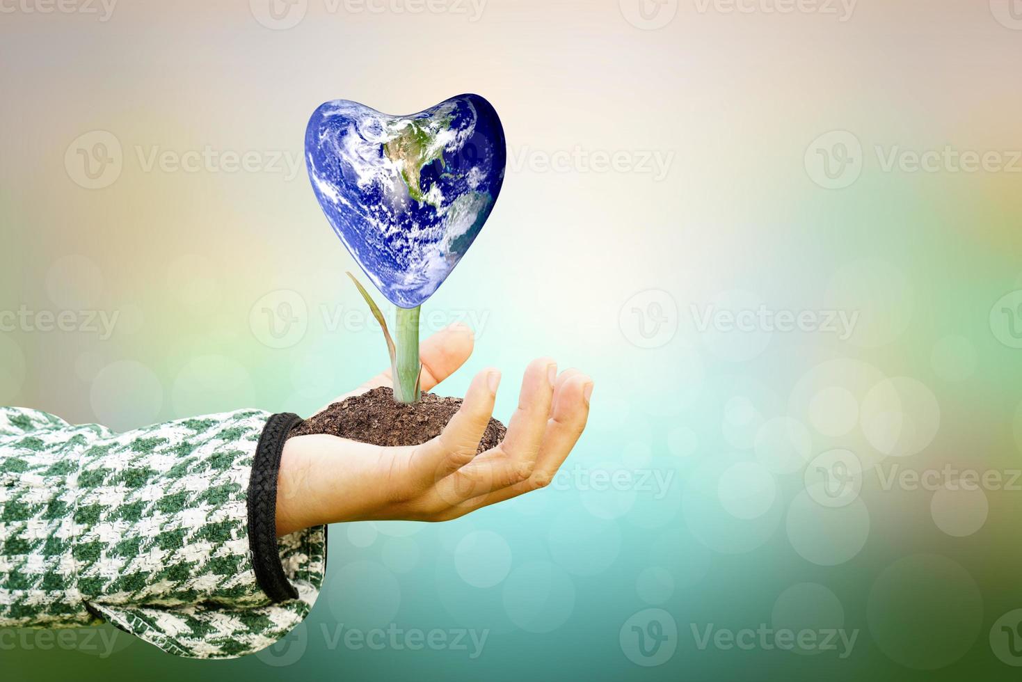 Human hand holding  tree and world on blurred nature background.World environment day. photo