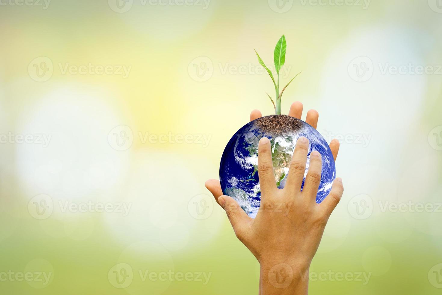 mano humana sosteniendo el árbol y el mundo en el fondo de la naturaleza borrosa. día mundial del medio ambiente. foto