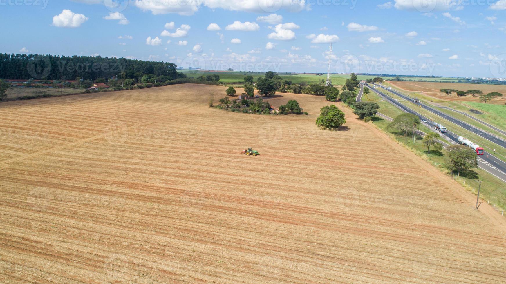 tractor hace la fertilización en el campo de caña de azúcar. foto