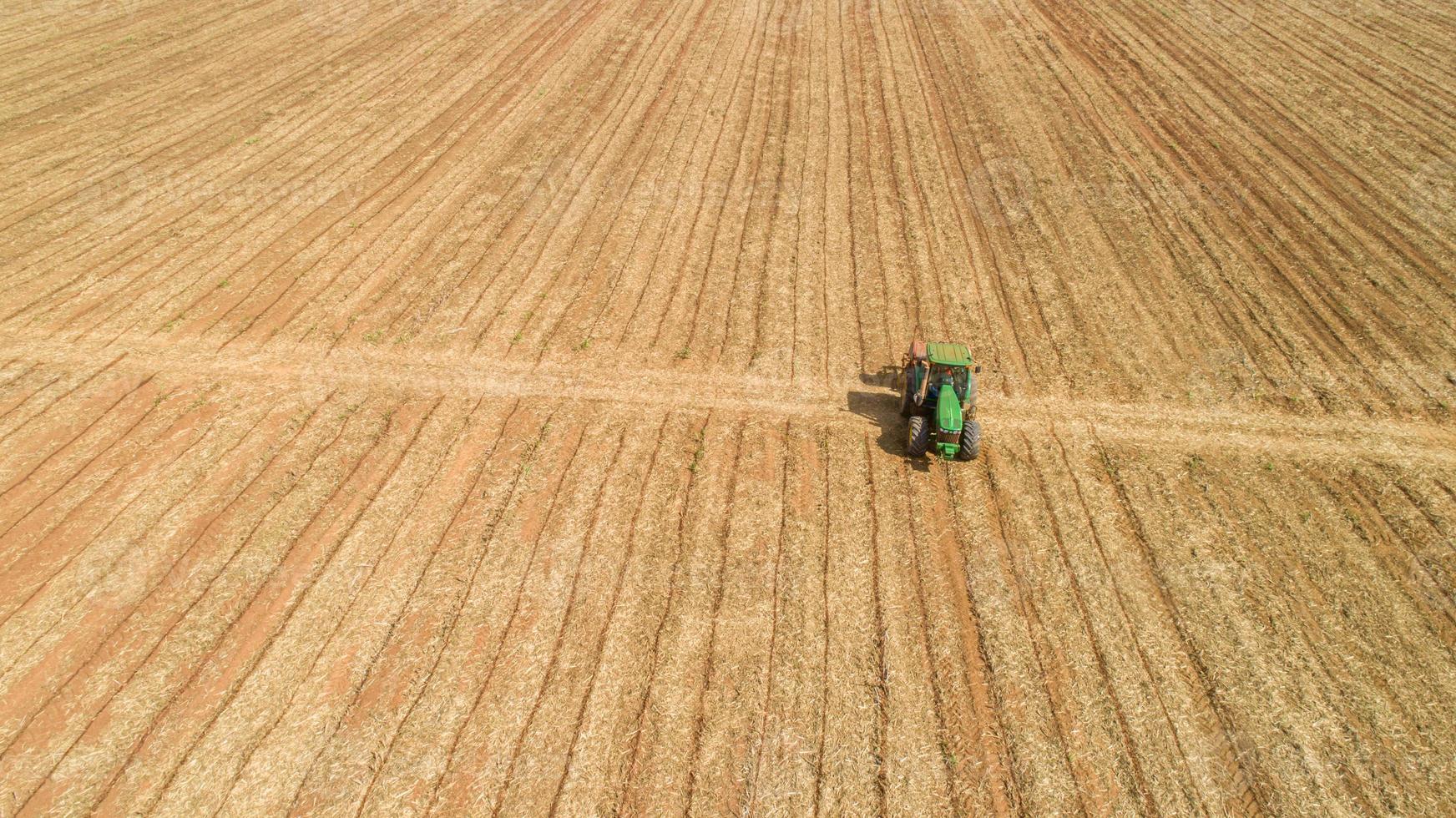 tractor hace la fertilización en el campo de caña de azúcar. foto