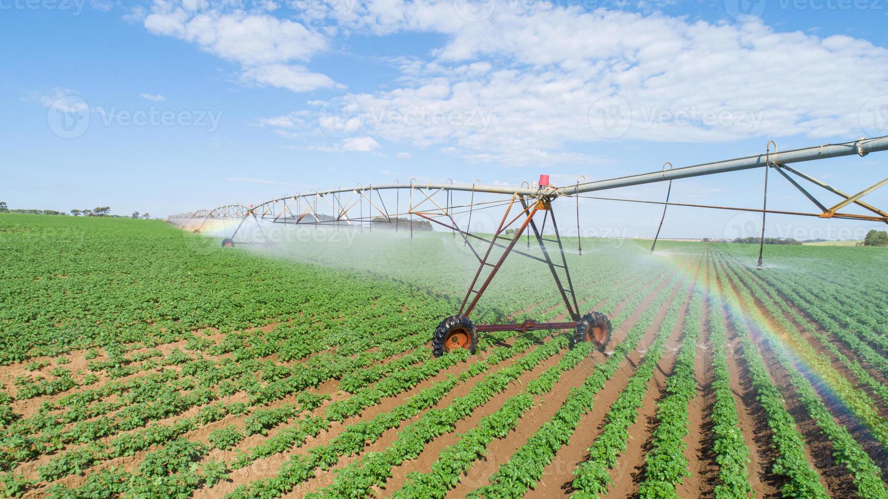 sistema de riego agrícola en un día soleado de verano. una vista aérea de un sistema de rociadores de pivote central. foto