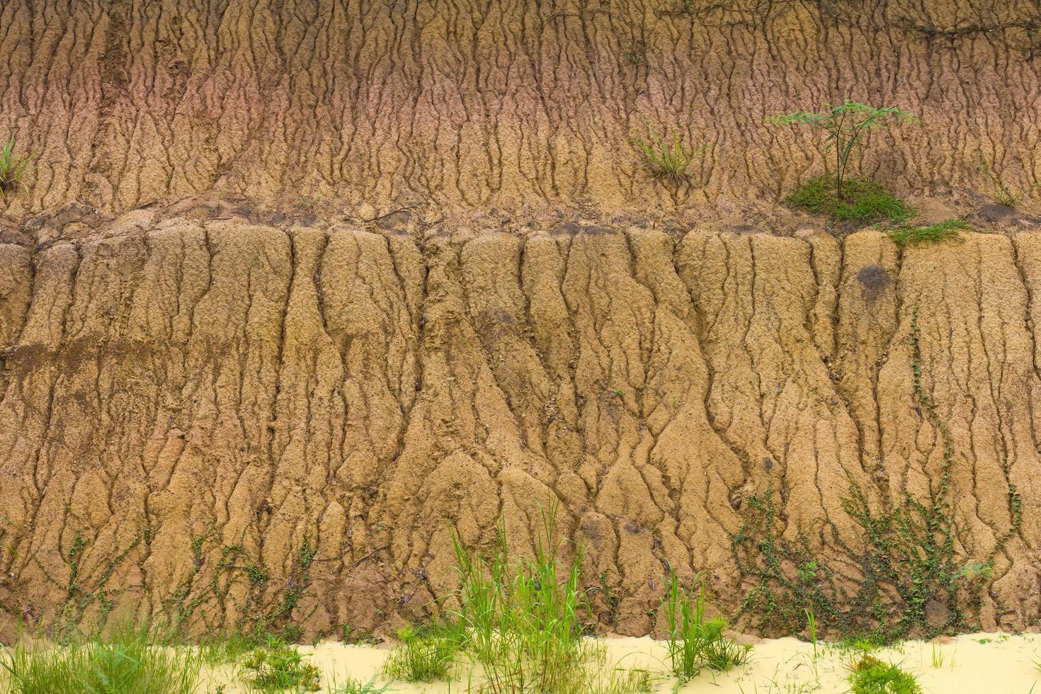 erosión del suelo, lluvia costera foto
