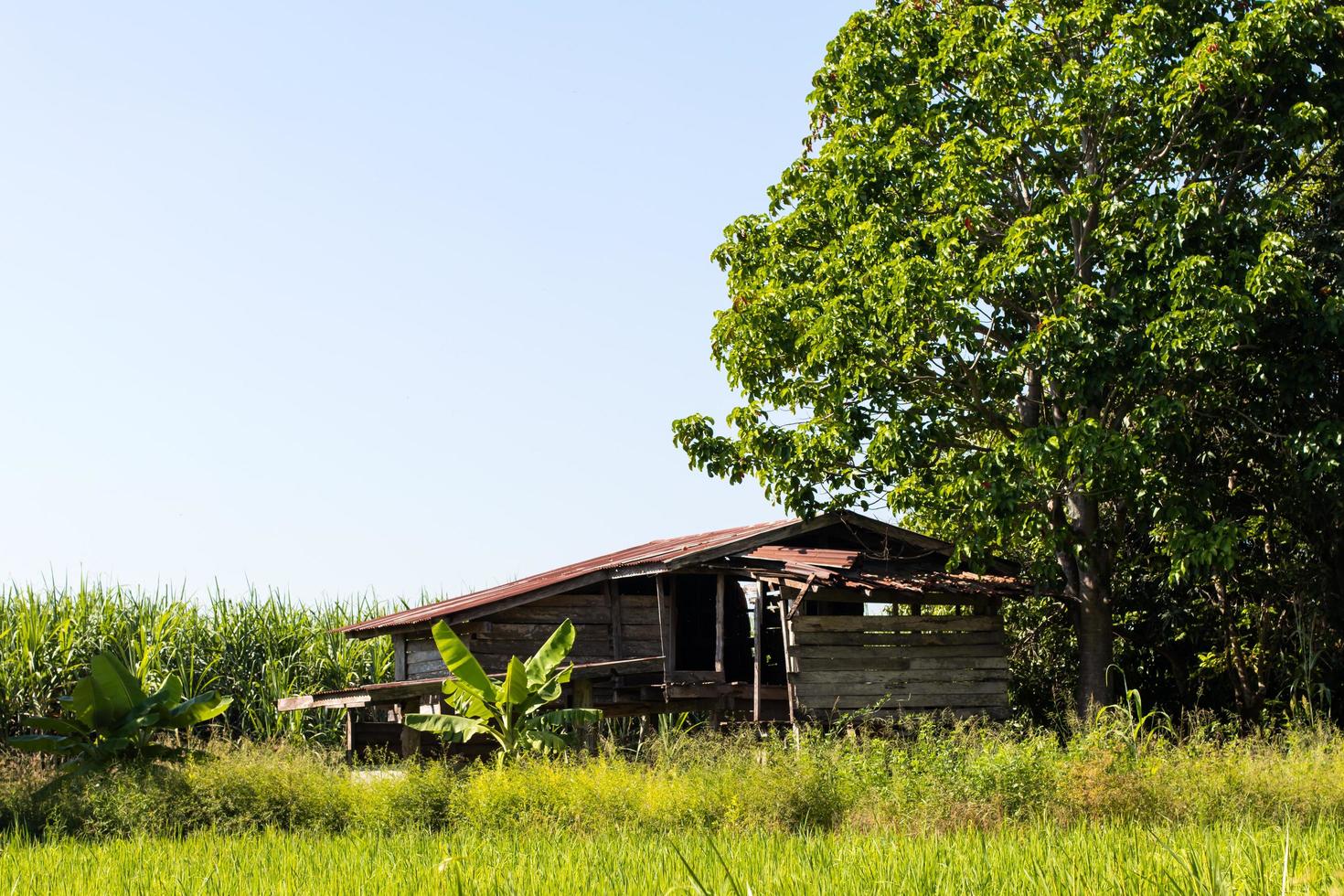 Old wooden cottage house was abandoned. photo