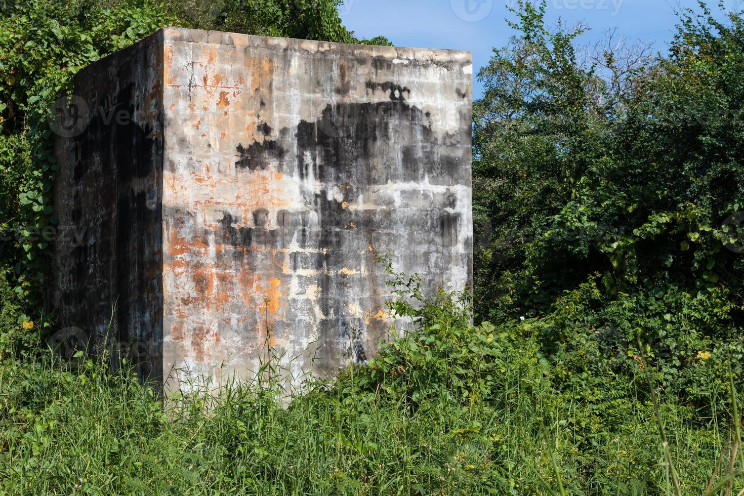 Concrete rectangle with ivy. photo