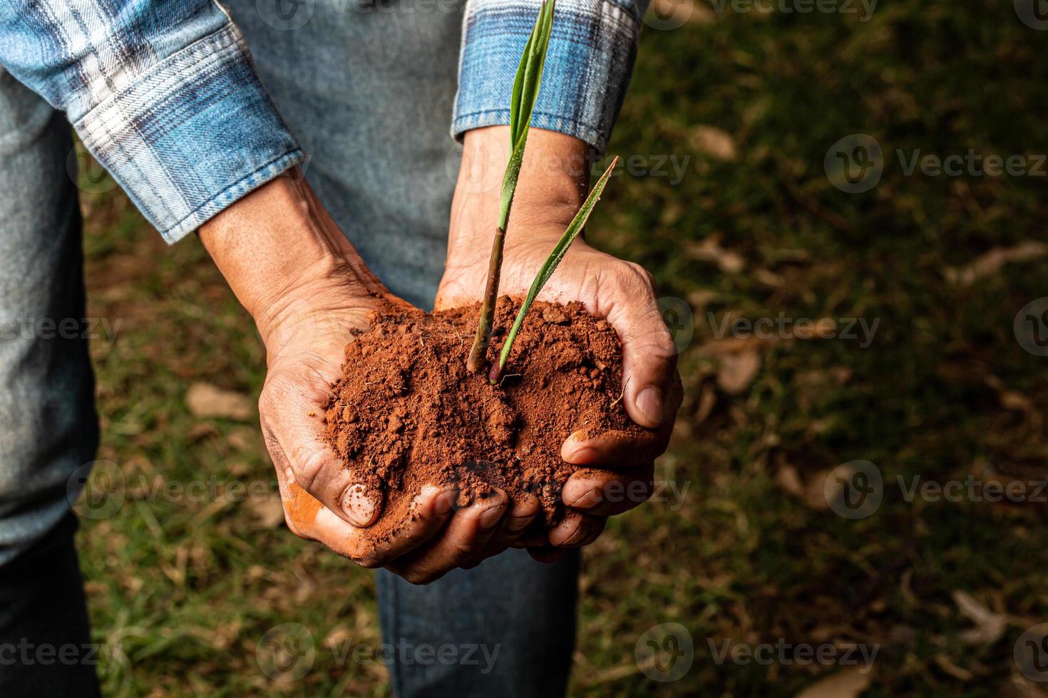 Young farmer man hands holding a green young plant. Symbol of spring and ecology concept photo