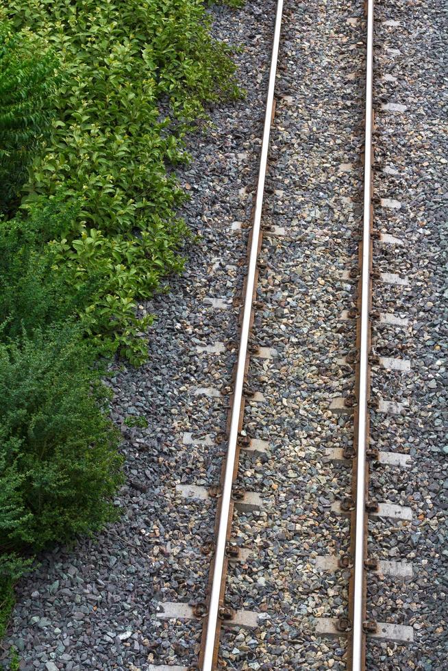 ferrocarril con hierba, malas hierbas foto