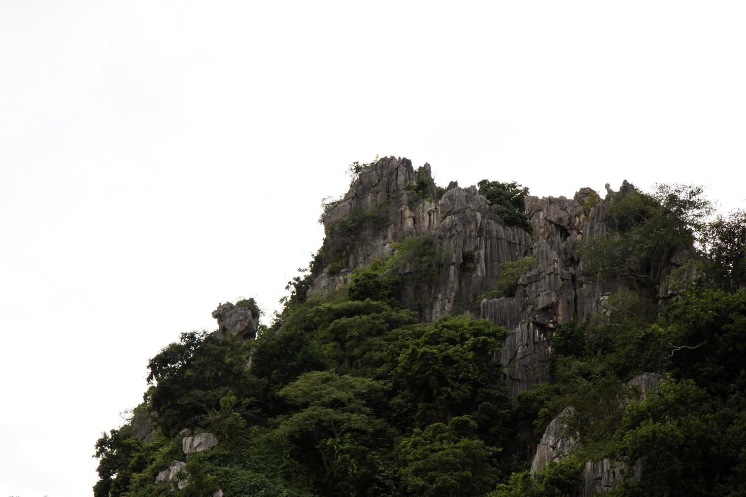 Mountain Rock Forest. photo