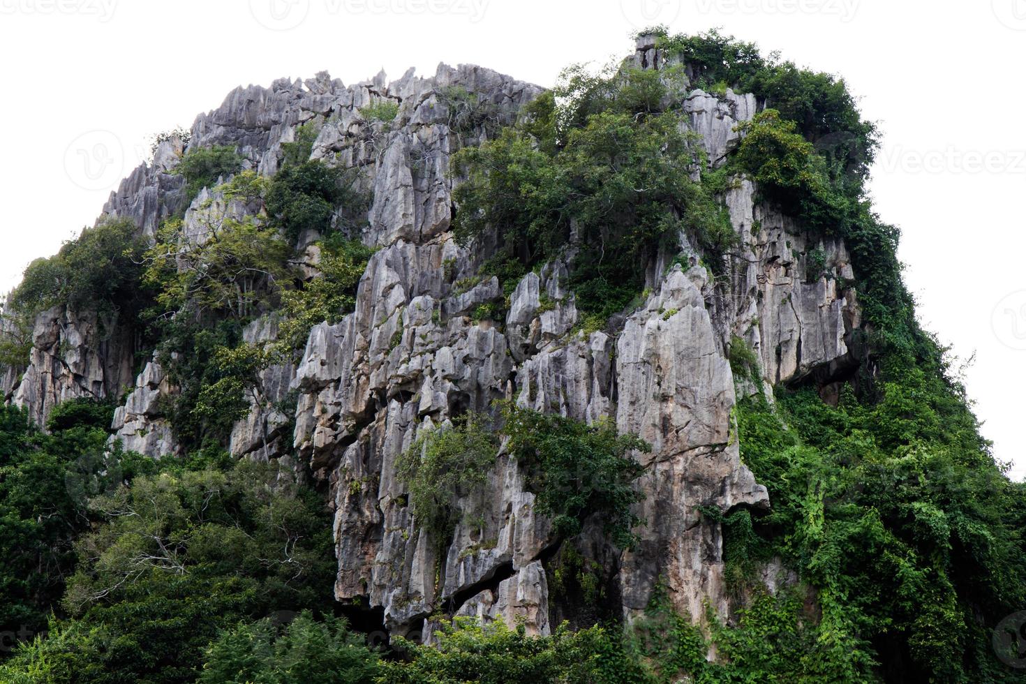 Mountain Rock Forest. photo