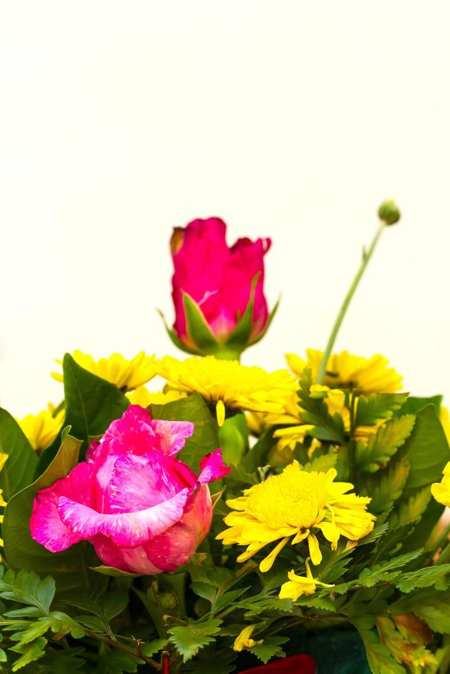 Rose petals are chipped with gerbera. photo