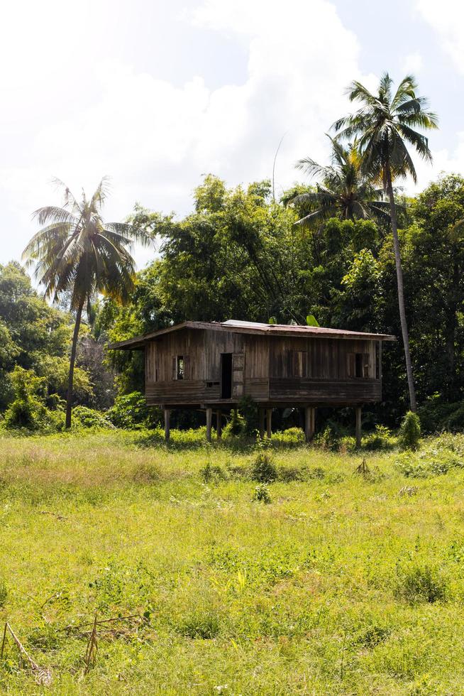 antigua casa de madera cerca del parque forestal. foto