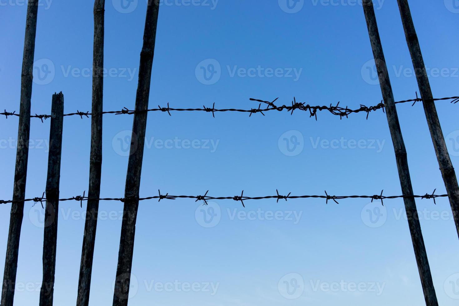 barbed wire blue sky photo